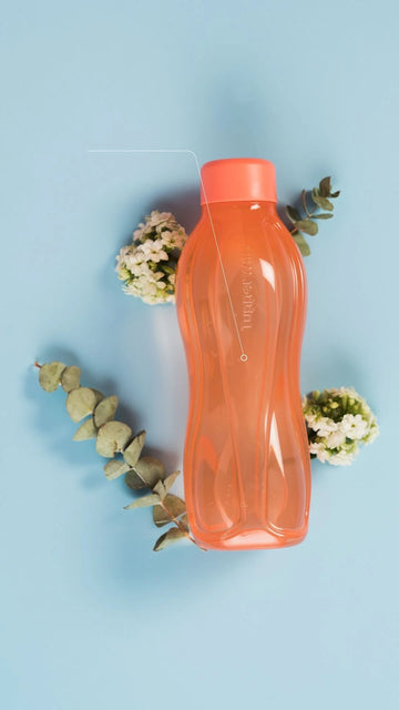 Eco+ Bottle 500 ml